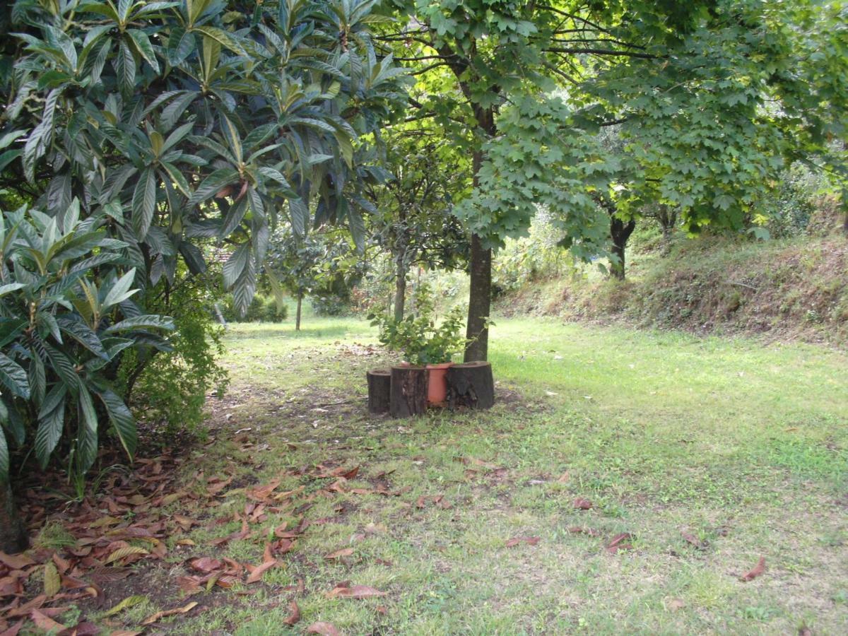 Il Fienile Villa Ripafratta Bagian luar foto
